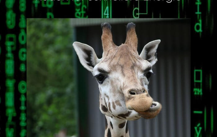 Warum die Kauen zu schnellerer Energie verhilft